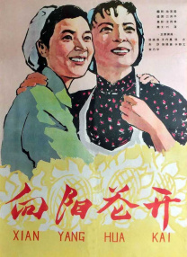 亚洲一区二区免费电影